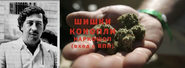 гидра Кинешма