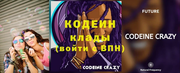 гидра Кинешма