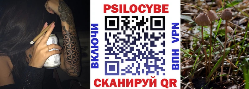 Купить где  Бирюсинск  Галлюциногенные грибы Magic Shrooms 